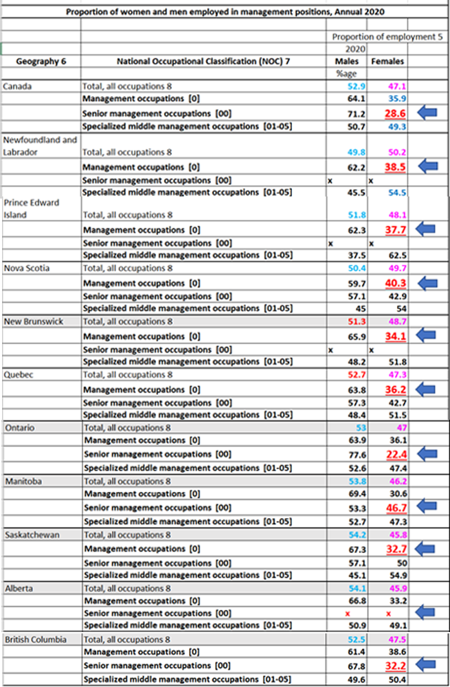 Diversity Hues Chart 3